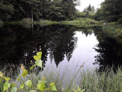Acheter Terrain Faucogney-et-la-mer 76000 euros