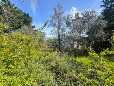 Annonce Vente Terrain Arles 13