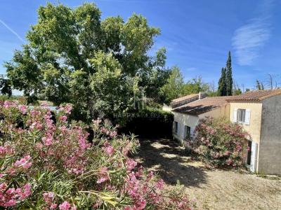 Acheter Maison 335 m2 Arles