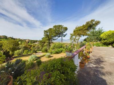 Acheter Prestige Cuttoli-corticchiato 549000 euros