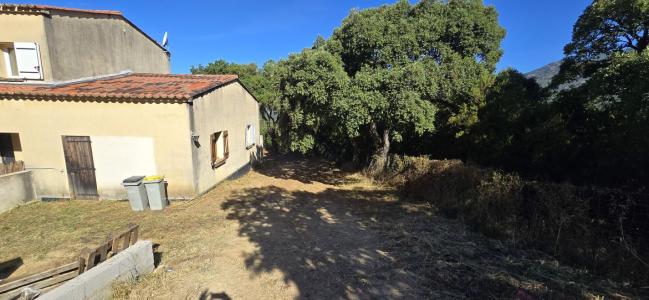 Annonce Location 2 pi�ces Appartement  20
