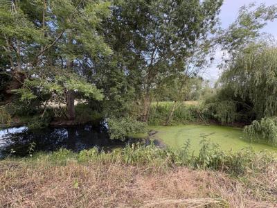 Acheter Terrain Deols Indre