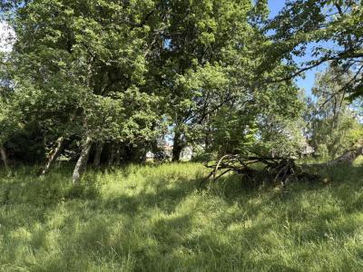 Annonce Vente Terrain Tresses 33