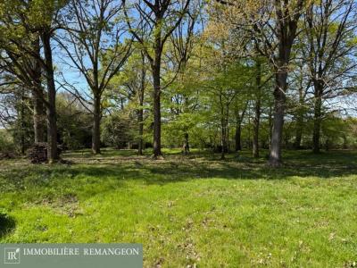 For sale Vierzon 5 rooms 130 m2 Cher (18100) photo 1