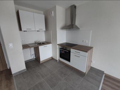 Louer Appartement Chevigny-saint-sauveur Cote d'or