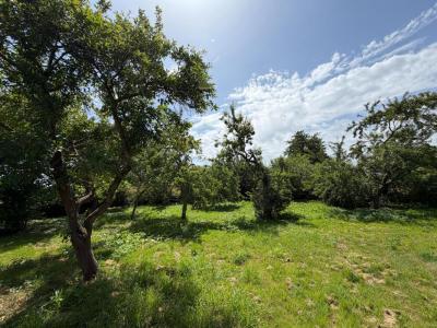 Annonce Vente Terrain Saint-lubin-de-la-haye 28