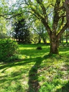 For sale Locmalo 3 rooms 103 m2 Morbihan (56160) photo 3