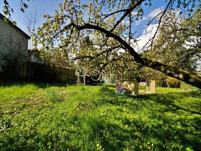 Annonce Vente Terrain Chasselay 69