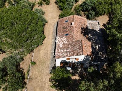 Annonce Vente 7 pi�ces Maison Sotta 20