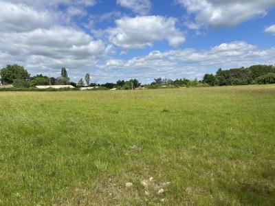 For sale Tresses 916 m2 Gironde (33370) photo 0