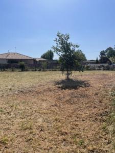Annonce Vente Terrain Teich 33