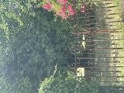 For sale Gujan-mestras 600 m2 Gironde (33470) photo 0