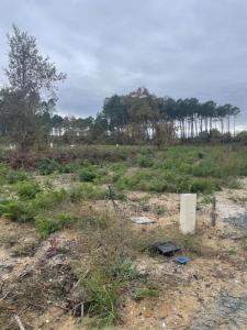 Acheter Maison Salles 276090 euros