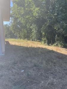 Annonce Vente 4 pi�ces Maison Sanguinet 40