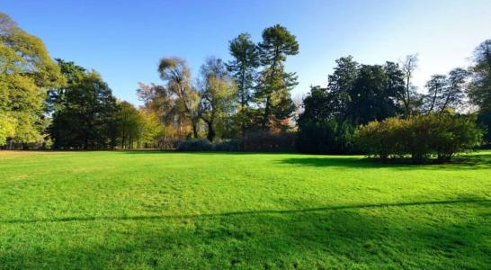 Annonce Vente 4 pi�ces Maison Sanguinet 40
