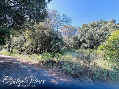 Annonce Vente Terrain Palaja 11