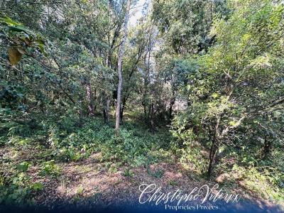 Acheter Terrain Palaja 79000 euros