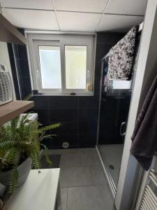 Acheter Appartement 63 m2 Saint-brieuc