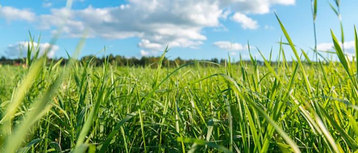 For sale Muzillac Morbihan (56190) photo 0