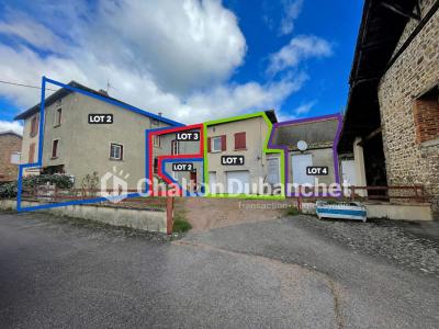 Annonce Vente 11 pi�ces Maison Fourneaux 42