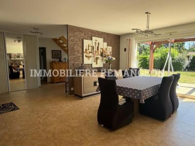 Annonce Vente 5 pi�ces Maison Lamotte-beuvron 41