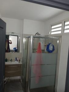 Acheter Appartement Saint-denis Reunion