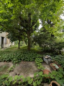 Annonce Vente Maison Fargues-saint-hilaire 33