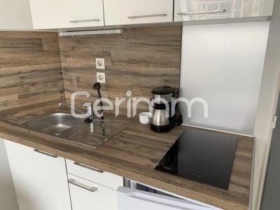 Annonce Location Appartement Grenoble 38