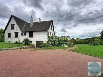 Annonce Vente 7 pi�ces Maison Chouzy-sur-cisse 41