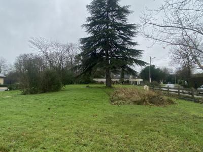 Acheter Terrain 636 m2 Cesson-sevigne