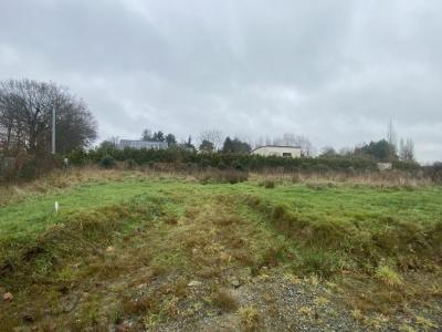 Annonce Vente Terrain Cesson-sevigne 35