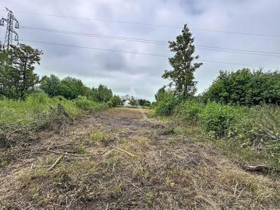 Annonce Vente Terrain Coulogne 62