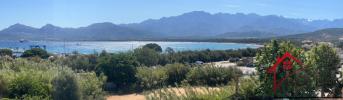 Vente Appartement Calvi  3 pieces 54 m2