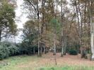 For sale Land Taillan-medoc  441 m2
