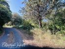 For sale Land Palaja 