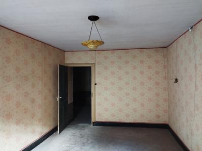 For sale 10 rooms 300 m2 Loire (42520) photo 0