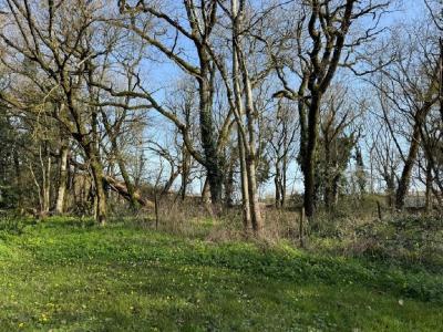 For sale 5 rooms 150 m2 Charente (16240) photo 4