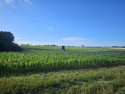 Annonce Vente 5 pi�ces Maison  85