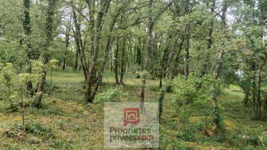 Annonce Vente 6 pi�ces Maison Gignac 46