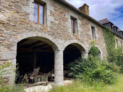Acheter Maison 700 m2 Pedernec