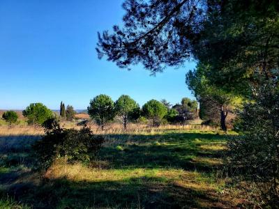 Acheter Maison 119 m2 Alignan-du-vent
