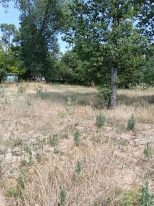 For sale Saint-jean-de-monts 641 m2 Vendee (85160) photo 0