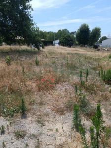 For sale Saint-jean-de-monts 1003 m2 Vendee (85160) photo 0