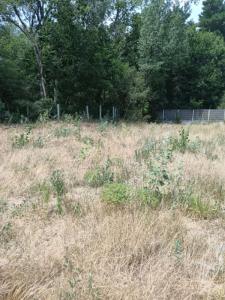 For sale Saint-jean-de-monts 913 m2 Vendee (85160) photo 0