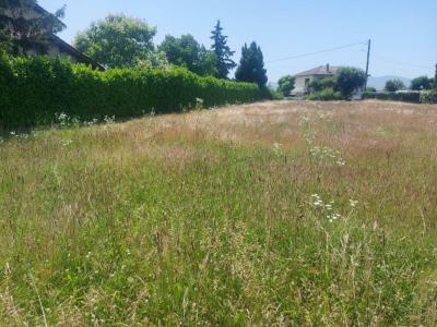 Annonce Vente Terrain Assieu 38
