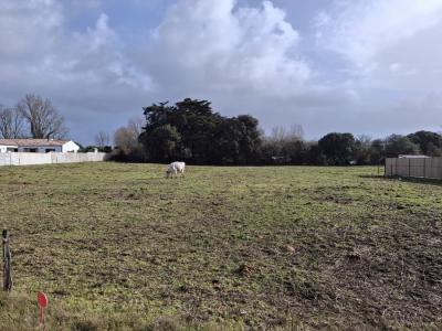For sale Saint-hilaire-de-riez 696 m2 Vendee (85270) photo 0