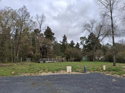 Annonce Vente 4 pi�ces Maison Saint-jean-de-monts 85