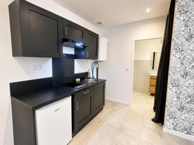 Louer Appartement 28 m2 Saint-etienne