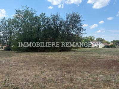 Annonce Vente Terrain Souesmes 41