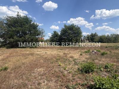 For sale Souesmes 6129 m2 Loir et cher (41300) photo 0